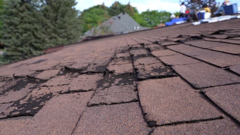 Reliable Port Hadlock Irondale, WA Roofing Service Solutions